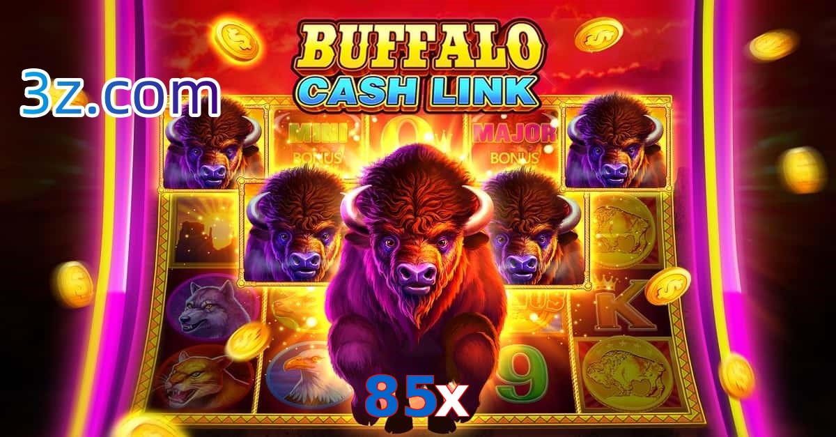 85x.com